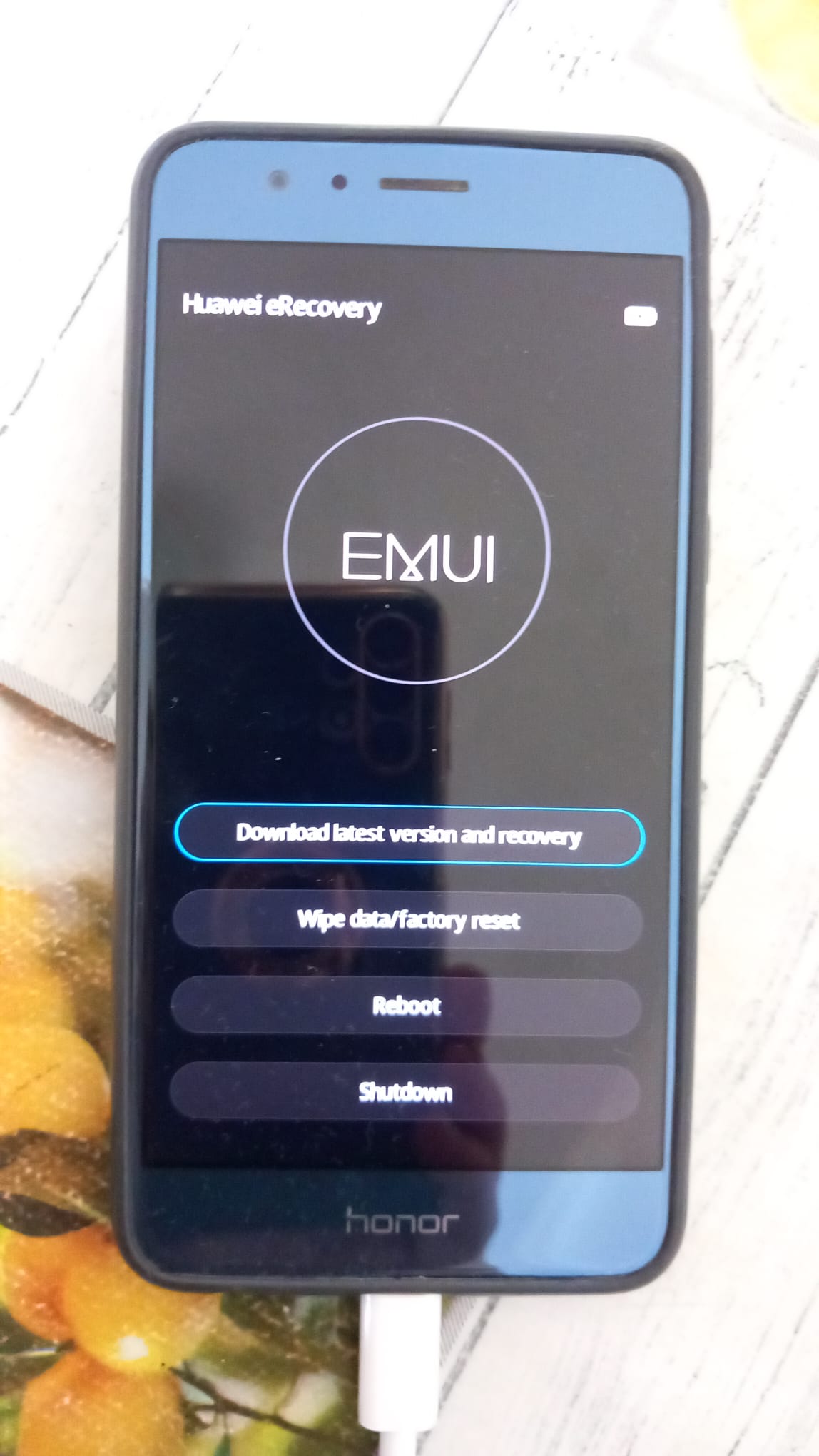 VW Projekt - Entwicklung